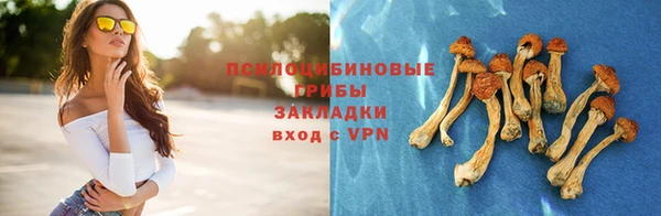 бошки Алексеевка