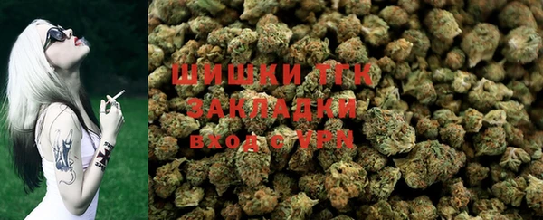 тгк Няндома