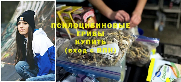 шишки Алексин