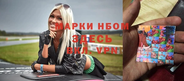 шишки Алексин